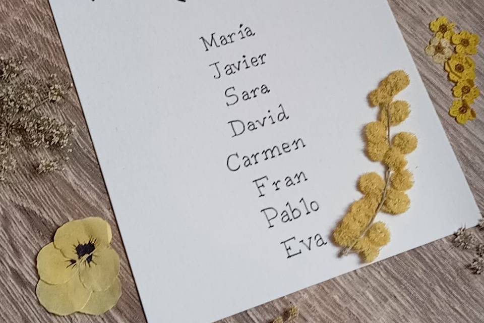 Seating plan