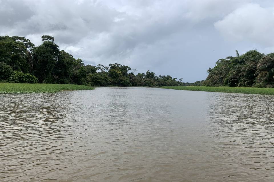 Canales de Tortuguero