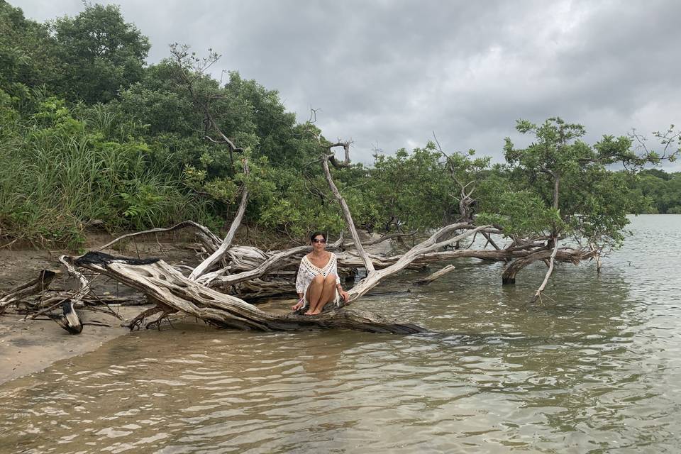 Canales de Tortuguero