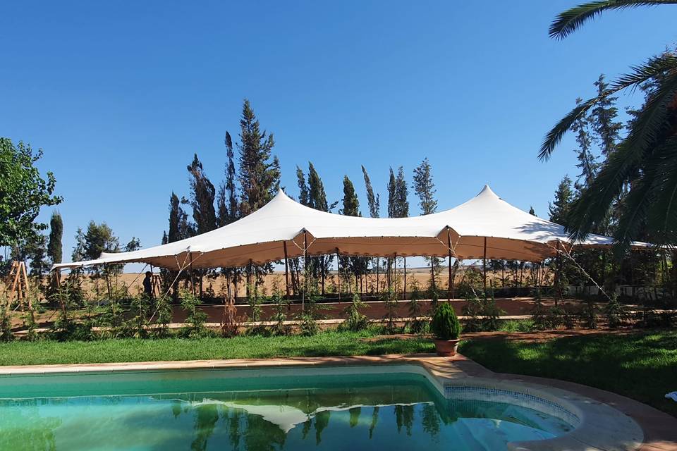 Carpas y Eventos