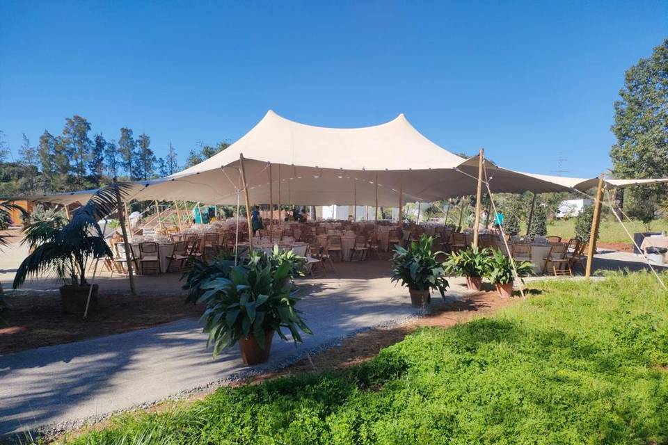 Carpas y Eventos