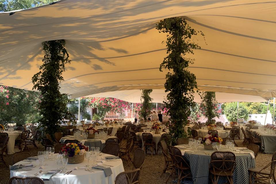 Carpas y Eventos