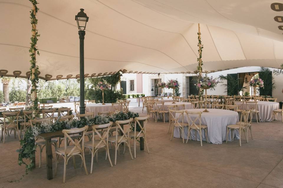 Carpas y Eventos