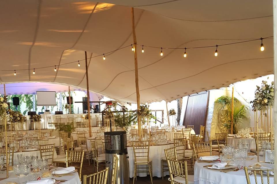 Carpas y Eventos