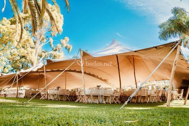 Carpas y Eventos