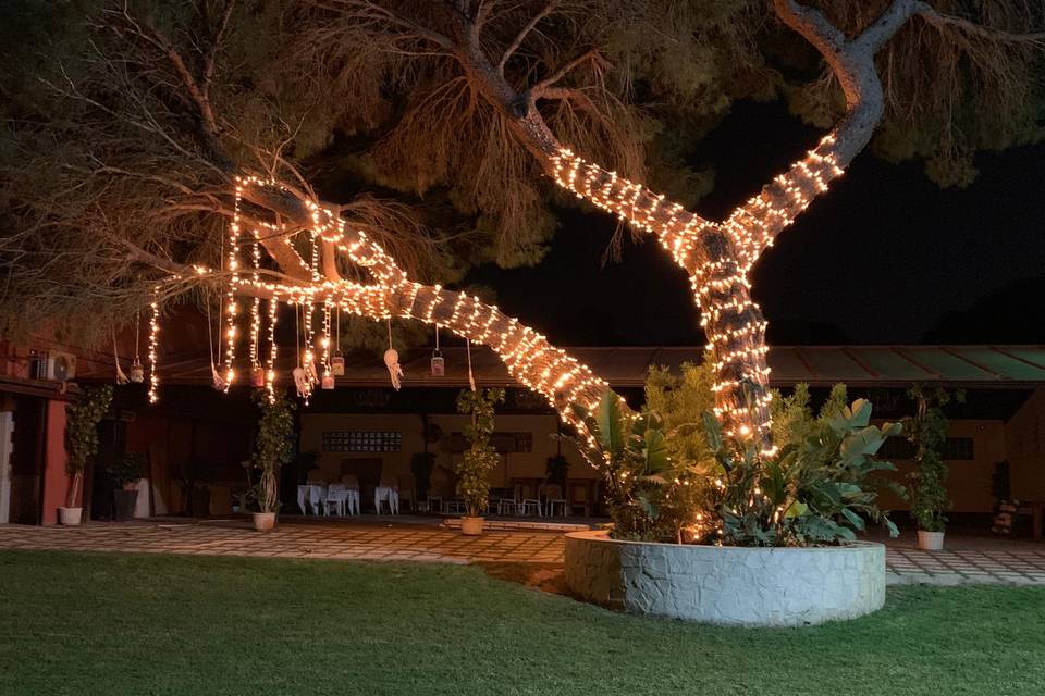 Iluminación de árbol