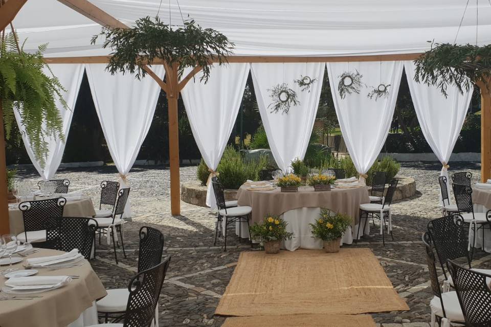 Carpas y Eventos