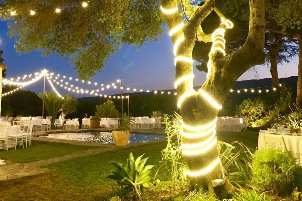 Carpas y Eventos