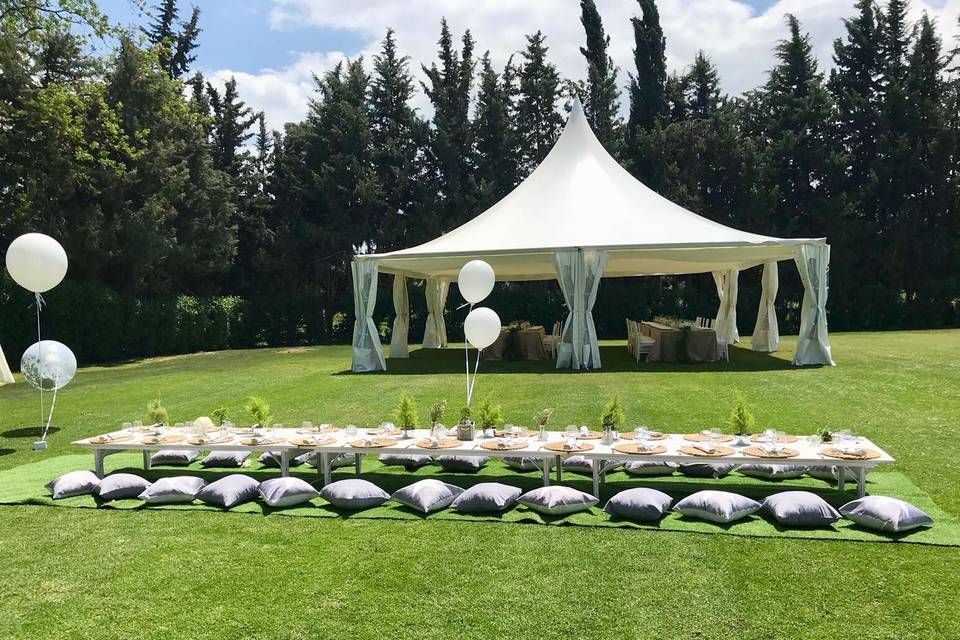 Carpas y Eventos