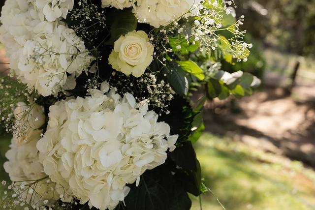 Flores del arco