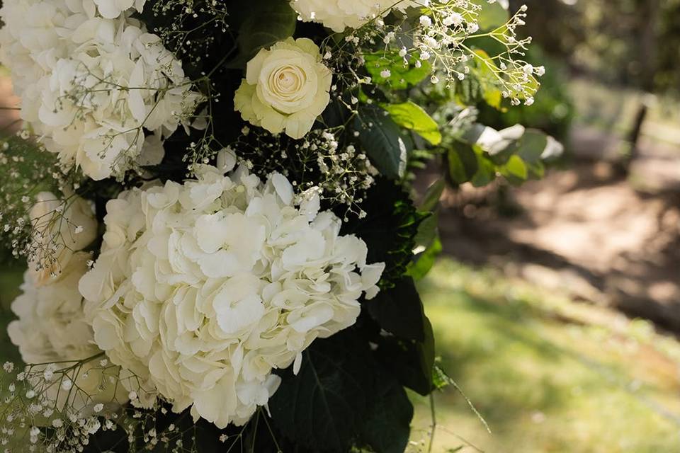 Flores del arco
