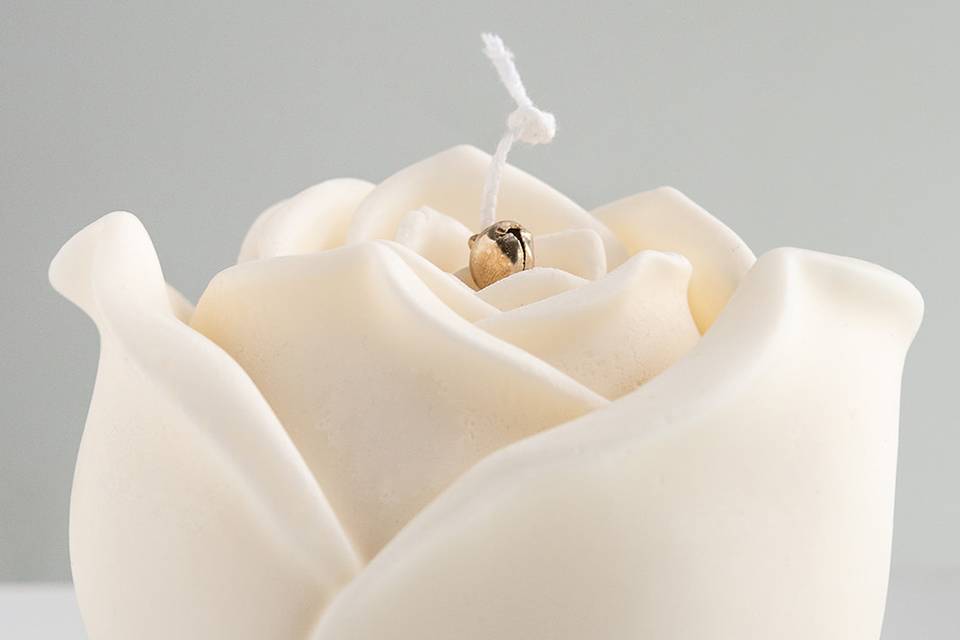 Rosa grande