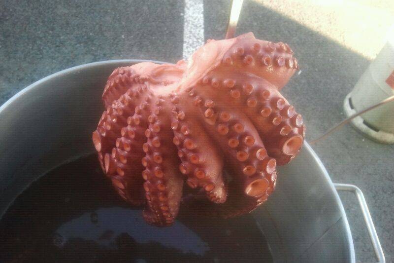 Pulpo a feira