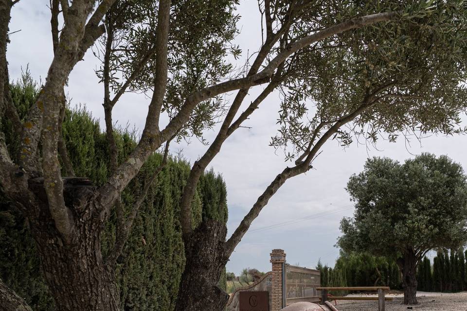 Villa Cayetana