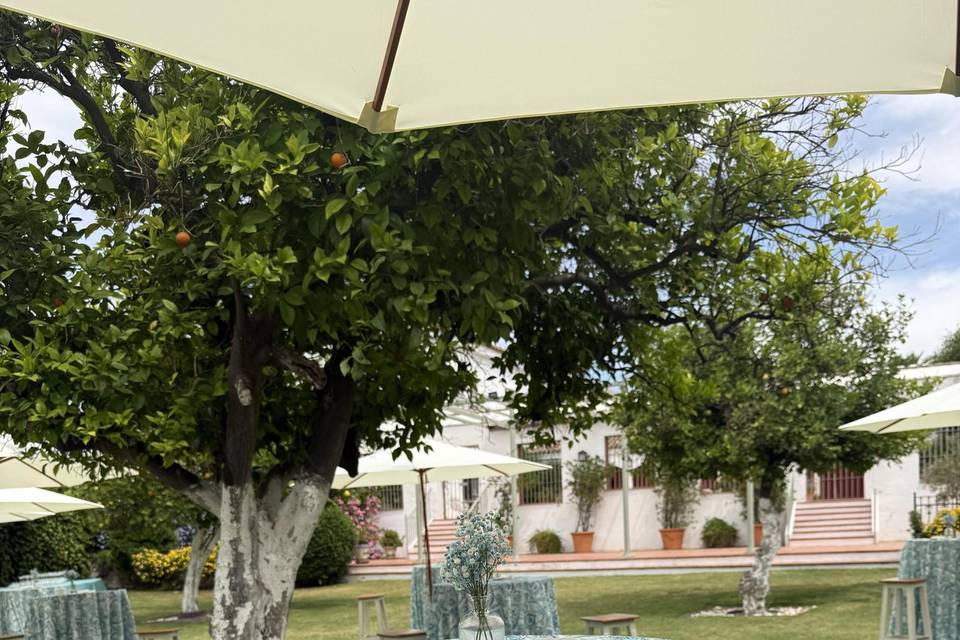 Jardín