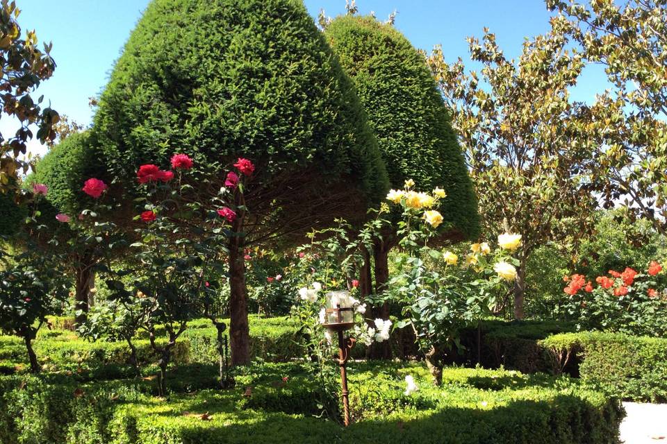 Lilas en flor - jardines