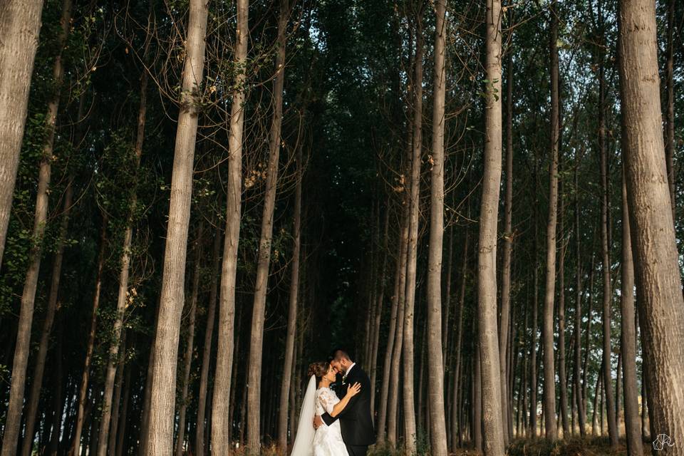 Boda en Granada