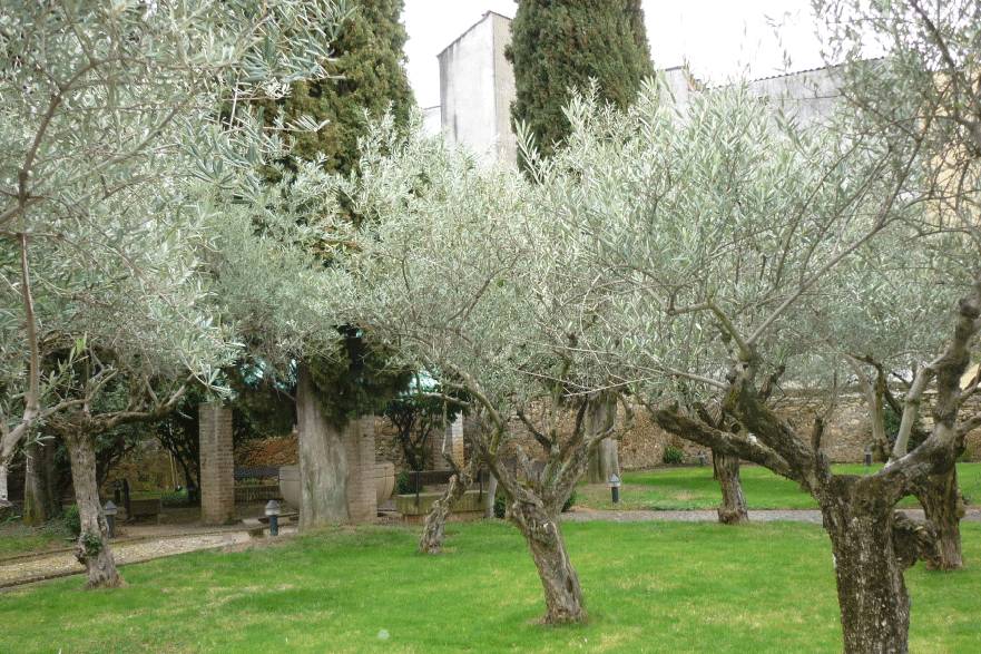 Aperitivo en claustro mudejar