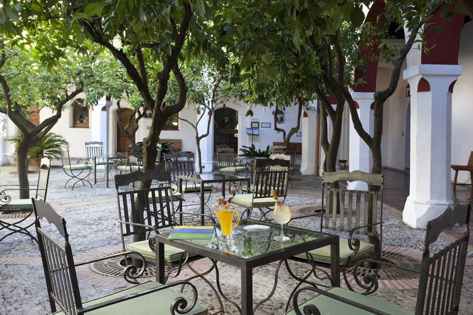 Terraza en verano