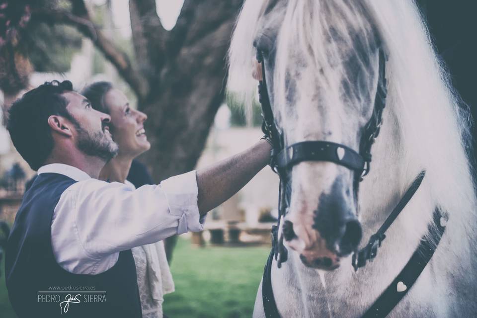 Fotografía de boda y eventos