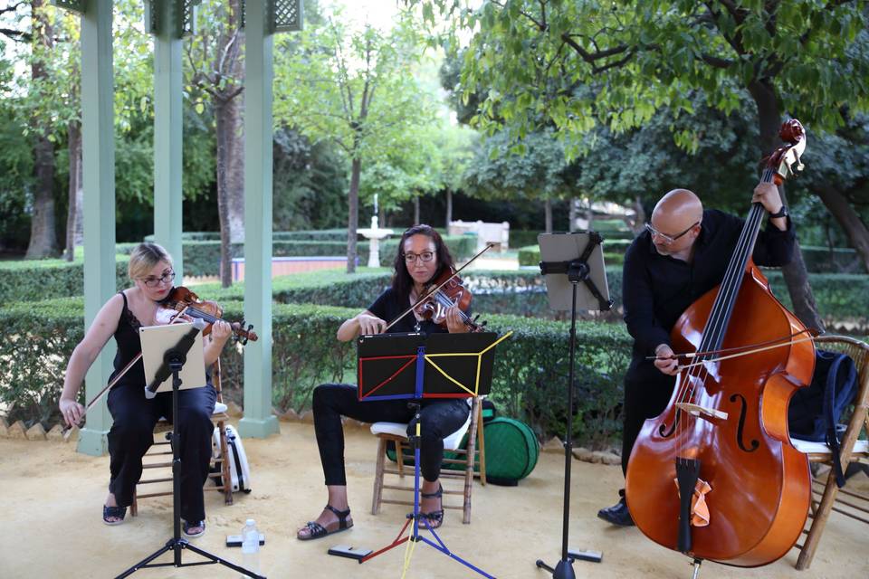 MUSICA
