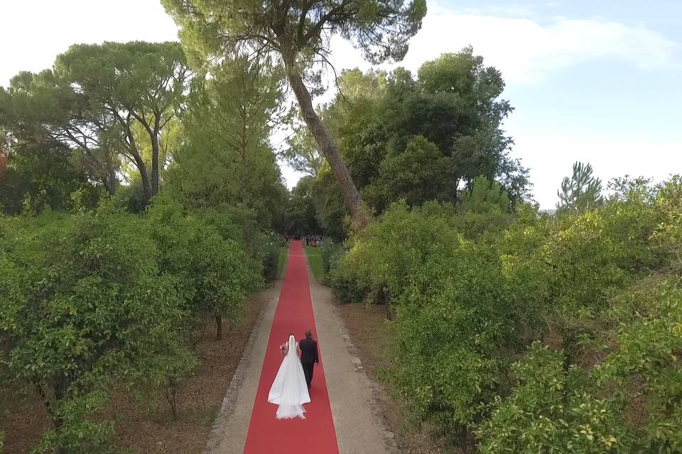 Al Ándalus Events