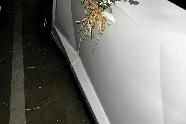 Decoración coche