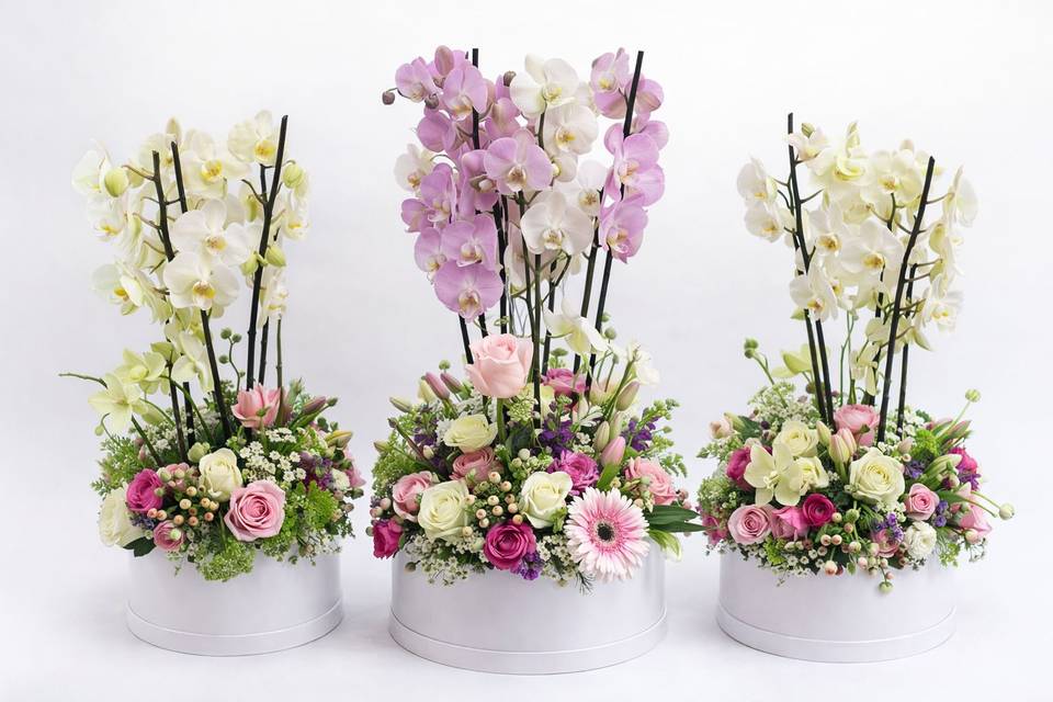 Centros con Orquídeas
