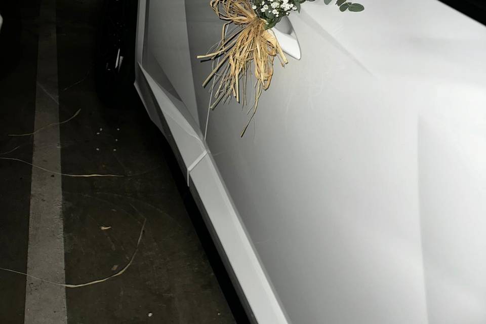 Decoración coche