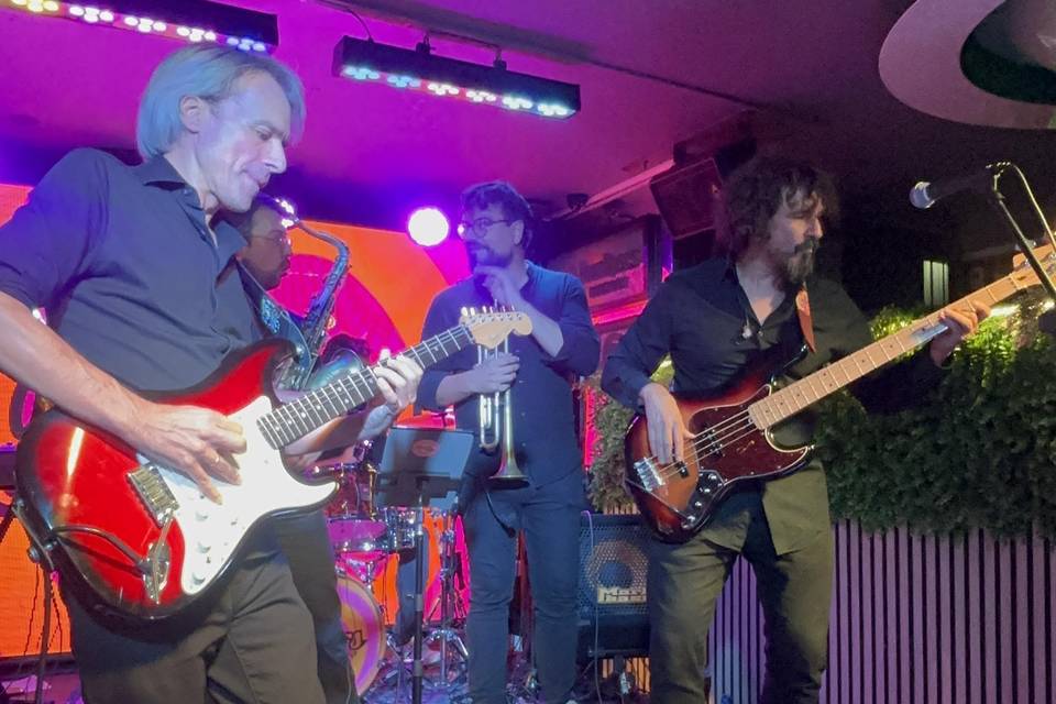 The Groovers Company