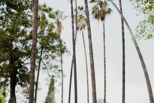 Boda - novios - wedding - foto