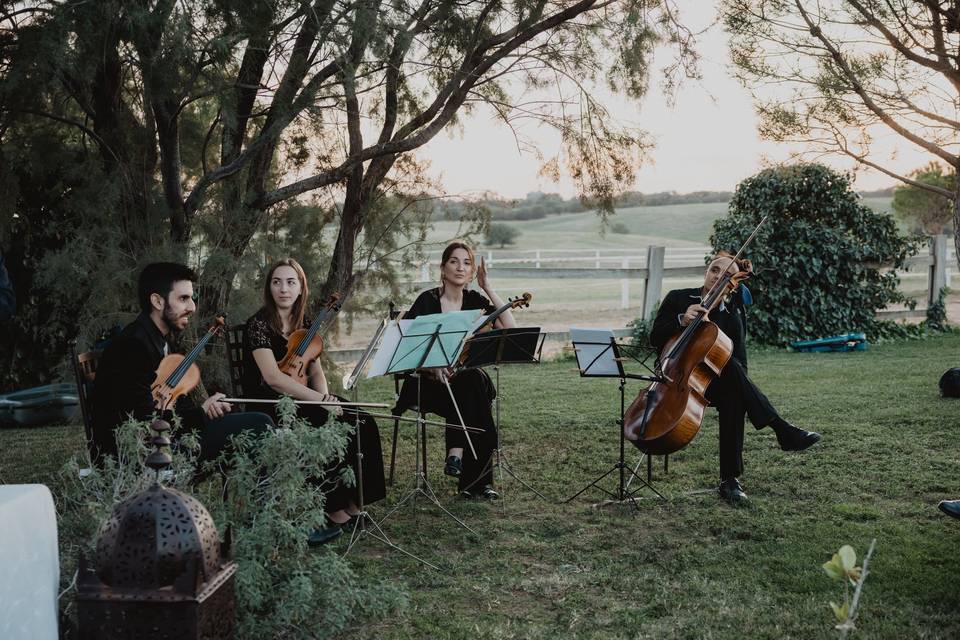 Cuarteto Arriaca