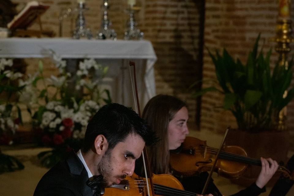 Violín