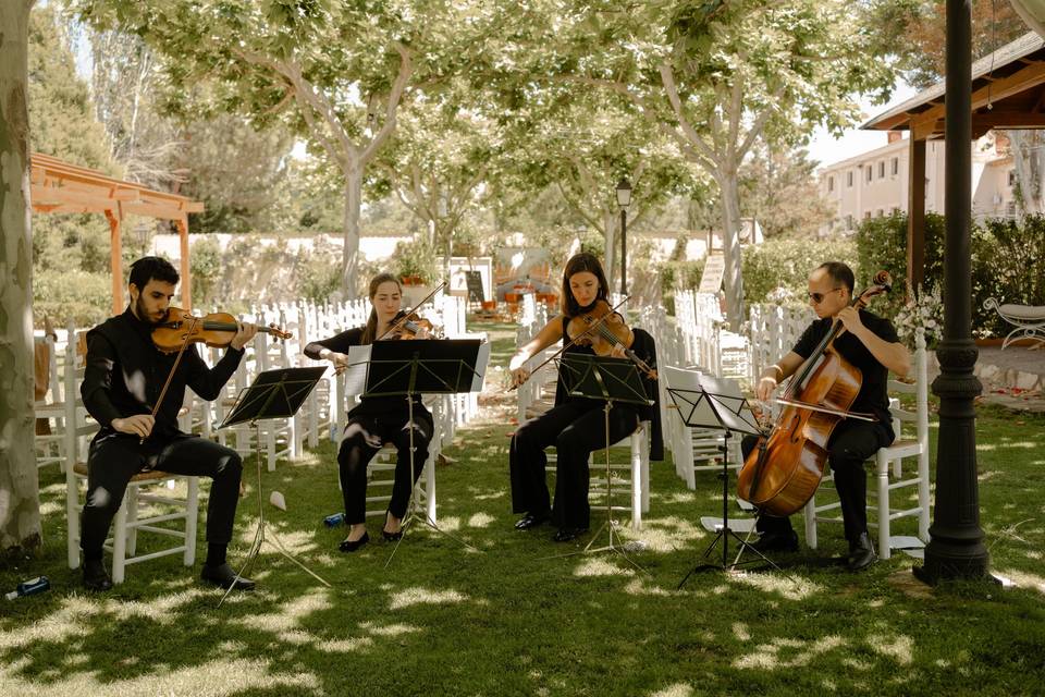 Cuarteto Arriaca