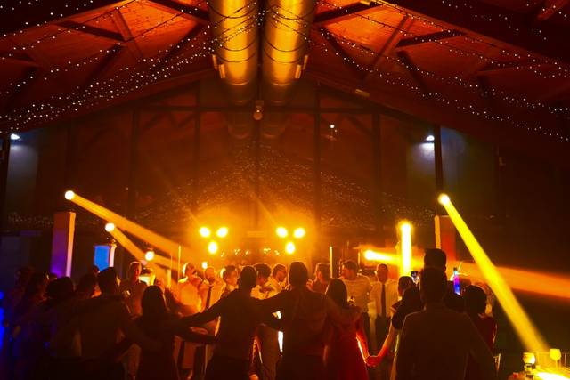 Discomóviles Dalmau