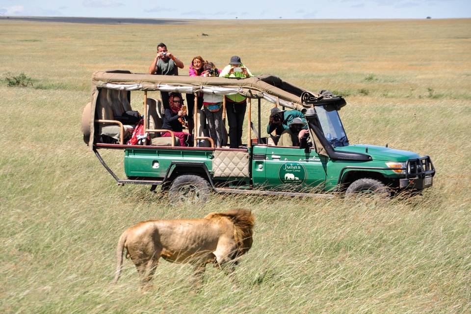 Safari Masai Mara - Kenya