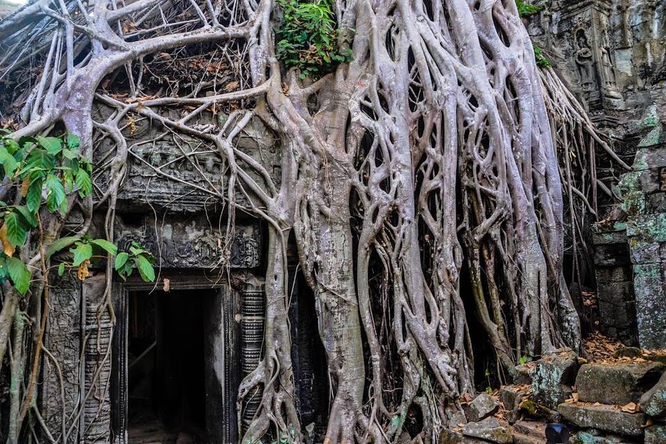 Angkor Wat - Camboya