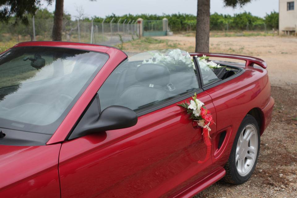 Mustang detalle floral de la puerta