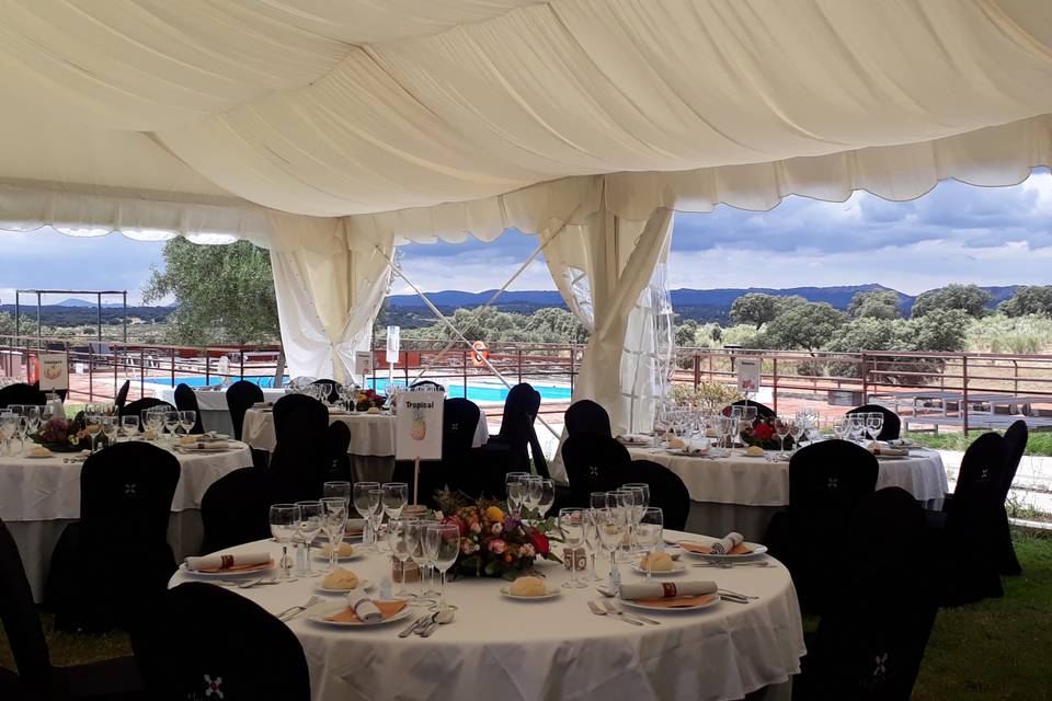 Banquete jardín con carpa