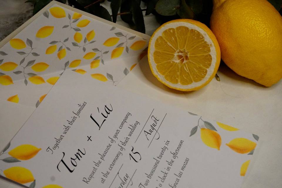 Colección limonar