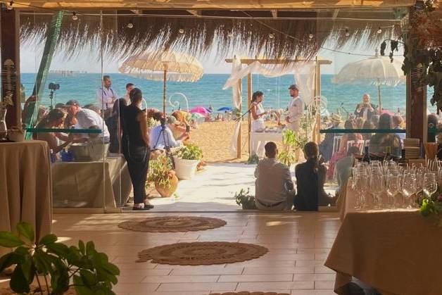 Pura Vida
