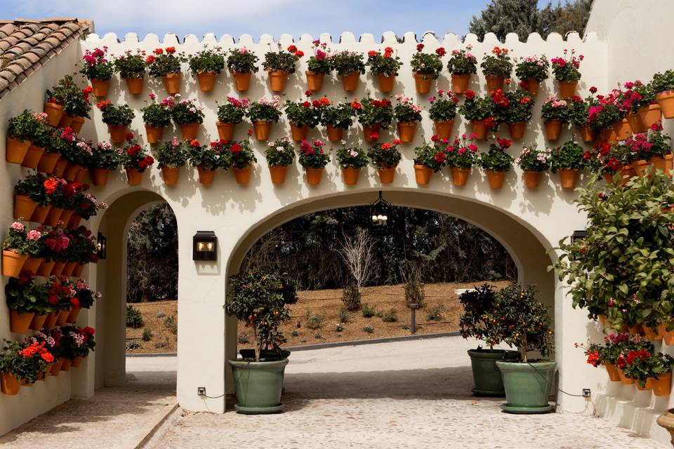 Patio de los caños