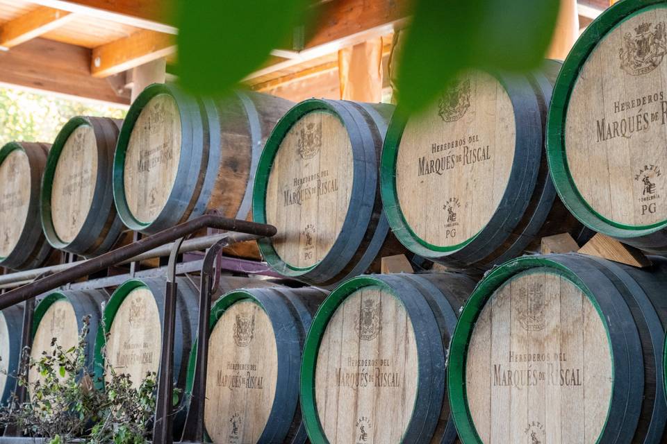 barriles vino