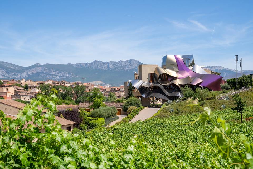 paisaje con edificio