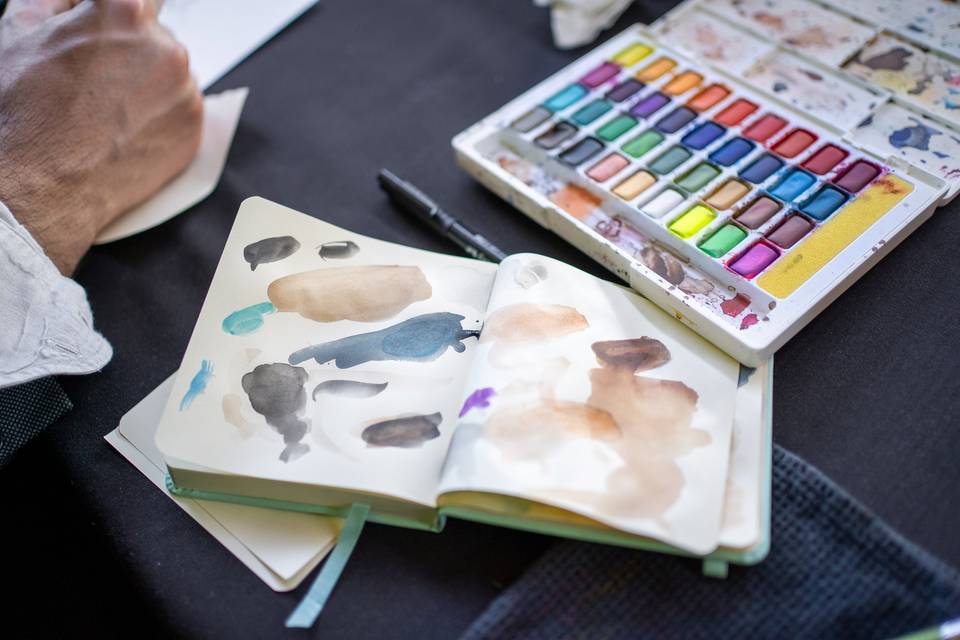 paleta colores