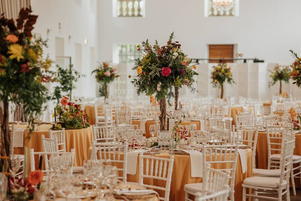 Decoracion