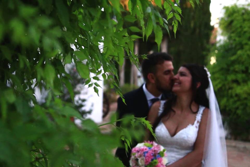 Boda Y&D