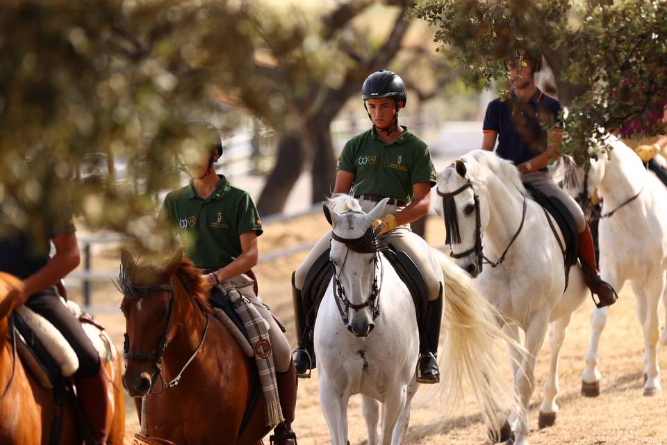 Exhibiciones y rutas a caballo