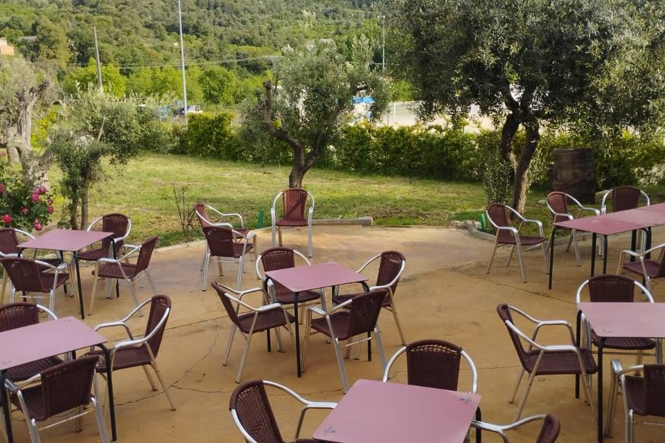 Jardínes y patio