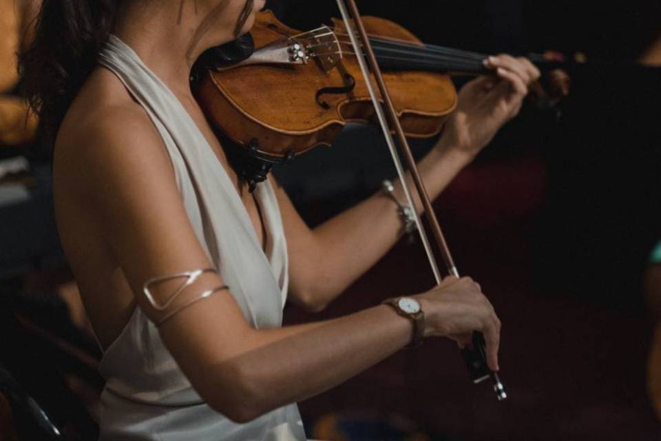 Violín